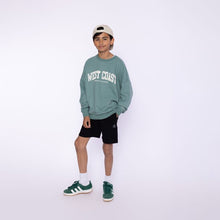 Load image into Gallery viewer, Boys Black Cotton Jogging Shorts: Sizes 2 to 14