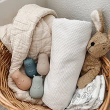 Load image into Gallery viewer, Nouka Wobble Bath Toy