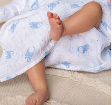 Load image into Gallery viewer, Aden + Anais Silky Soft Muslin Cotton Swaddle Blanket Blue Owl Print