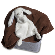 Load image into Gallery viewer, Mary Meyer Silky Bunny Lovey in White