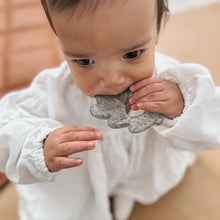 Load image into Gallery viewer, Nouka Silicone Cooling Nature Teether Toy