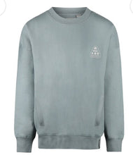 Load image into Gallery viewer, Boys Cotton Sweatshirt in Pale Blue: Size 7 to 14
