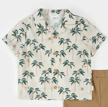 Load image into Gallery viewer, Firsts by Petit Lem “Palm Tree” Print Organic Cotton Button Up Shirt: Size 3M to 24M