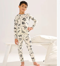 Load image into Gallery viewer, Hatley “Dino Extinction” Organic Cotton Long Pants Pj Set: Sizes 2 to 12