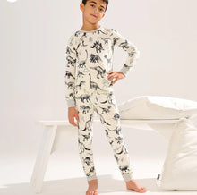 Load image into Gallery viewer, Hatley “Dino Extinction” Organic Cotton Long Pants Pj Set: Sizes 2 to 12