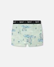 Load image into Gallery viewer, Deux par Deux Boxer Briefs Underwear “Crocodile Cars” Print: Size 2/3 to 11/12