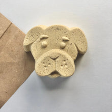 Load image into Gallery viewer, Soak + Sea Peaceful Puppy BathBomb Set