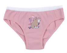 Load image into Gallery viewer, Nano Girls 3 Pack Underwear Peach/Hamster/Flamingo Print: Size 2/3 to 14/16
