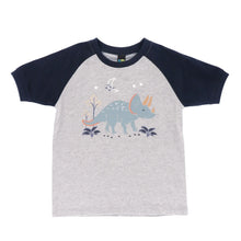 Load image into Gallery viewer, Nano Boys 3 Piece PJ Set - Dinosaur Print: Size 2 to 8
