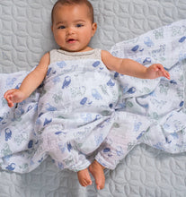 Load image into Gallery viewer, Aden + Anais Silky Soft Muslin Cotton Swaddle Blanket Blue Owl Print

