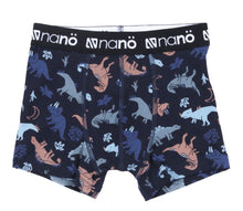 Load image into Gallery viewer, Nano Boys Boxer Brief Dino/Grey Blue Print 2 Pack : Sizes 2/3 to 10/12
