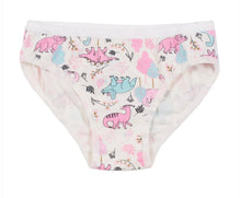 Load image into Gallery viewer, Nano Girls 3 Pack Underwear (Pink/Dinosaurs): Size 2/3 to 10/12
