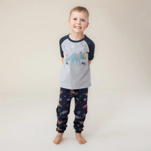 Load image into Gallery viewer, Nano Boys 3 Piece PJ Set - Dinosaur Print: Size 2 to 8
