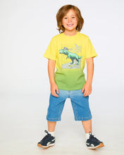 Load image into Gallery viewer, Deux Par Deux Dinosaur Graphic TShirt: Size 2 to 10
