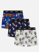 Load image into Gallery viewer, Deux Par Deux 3 Pack Boxer Briefs in “Raccoons” : Size 2/3 to 11/12 Years
