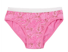 Load image into Gallery viewer, Nano Girls 3 Pack Underwear (Pink/Dinosaurs): Size 2/3 to 10/12
