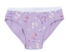 Load image into Gallery viewer, Nano Girls 3 Pack Underwear Peach/Hamster/Flamingo Print: Size 2/3 to 14/16
