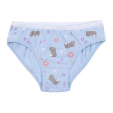 Load image into Gallery viewer, Nano Girls 3 Pack Underwear Peach/Hamster/Flamingo Print: Size 2/3 to 14/16
