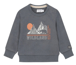 Long Sleeved Sweatshirt with Mountains and Bear Graphic: Size 2 to 6 Years