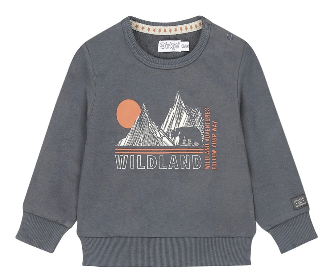 Long Sleeved Sweatshirt with Mountains and Bear Graphic: Size 2 to 6 Years