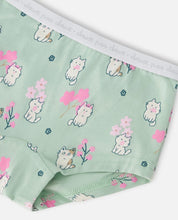 Load image into Gallery viewer, Deux par Deux Organic Cotton Boyshort Underwear in “Kittens” Print: Size 2/3 to 11/12
