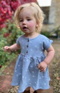 Ettie & H “Chesten” Dress - Blue with Tiny Cabins Pattern: Sizes NB to 7 Years