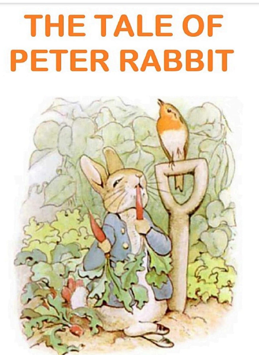 The Tale of Peter Rabbit Picture Book – Peggy Sues Kids