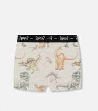Load image into Gallery viewer, Deux Par Deux Organic Cotton Boxer Shorts Dinosaur on Mottled and Tan: Size 2-12 Years
