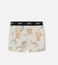 Load image into Gallery viewer, Deux Par Deux Organic Cotton Boxer Shorts Dinosaur on Mottled and Tan: Size 2-12 Years
