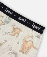 Load image into Gallery viewer, Deux Par Deux Organic Cotton Boxer Shorts Dinosaur on Mottled and Tan: Size 2-12 Years
