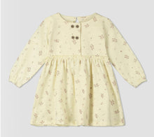 Load image into Gallery viewer, Ettie &amp; H Ivory Dress in Holly Pattern: Sizes NB to 18/24M
