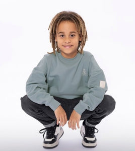 Boys Cotton Sweatshirt in Pale Blue: Size 7 to 14
