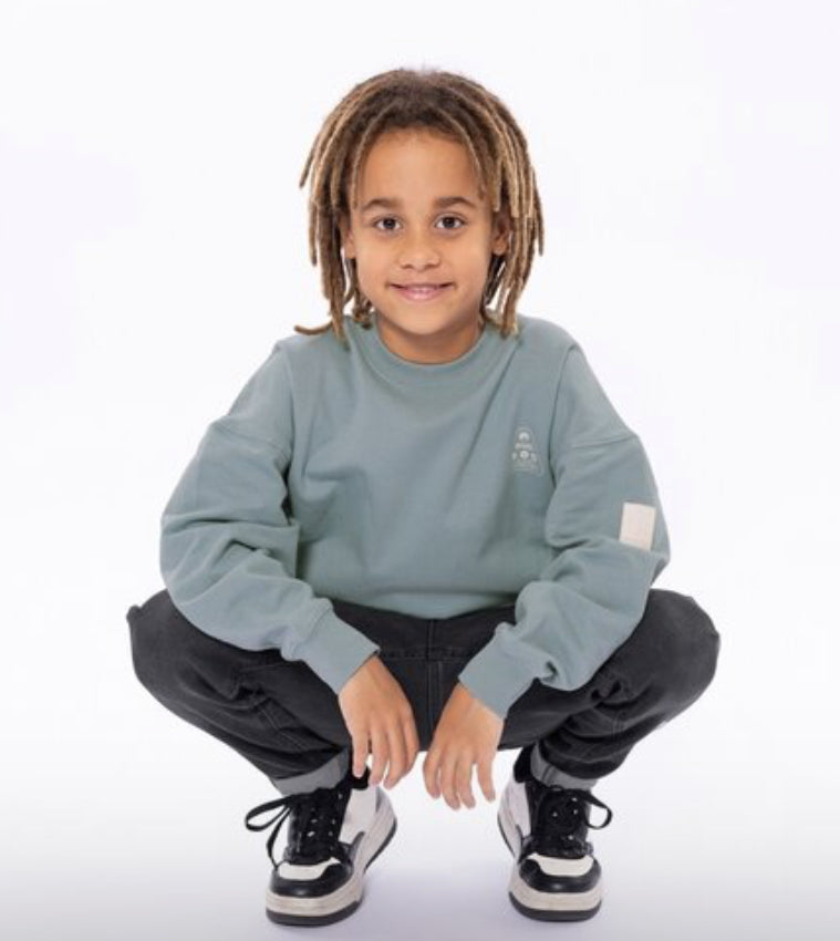 Boys Cotton Sweatshirt in Pale Blue: Size 7 to 14