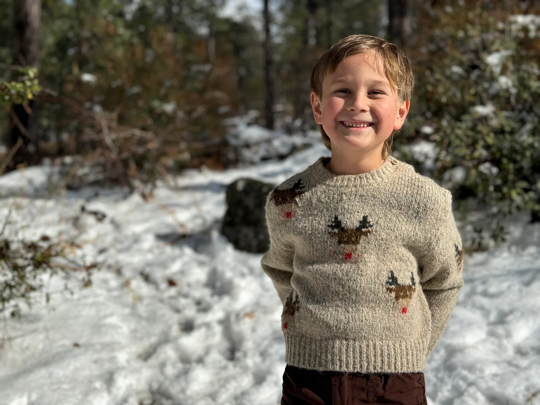 Me & Henry “Rudy” Reindeer Holiday Sweater: Size 2/3 to 16
