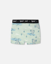 Load image into Gallery viewer, Deux par Deux Boxer Briefs Underwear “Crocodile Cars” Print: Size 2/3 to 11/12
