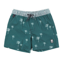 Load image into Gallery viewer, Nano UV swimsuit shorts Green: Size 2 to 12 Years
