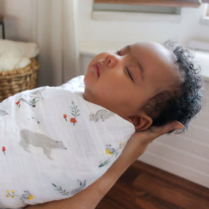 Aden + Anais Silky Soft Muslin Cotton Swaddle Blanket in Fox and Friends Print