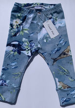 Load image into Gallery viewer, Coast Kids Organic Locally Made Under the Sea Leggings  Sizes 3M to 4 Years
