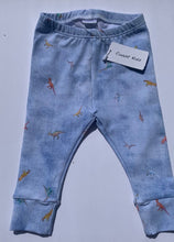Load image into Gallery viewer, Coast Kids Organic Locally Made Dinosaur Leggings  Sizes 3M to 4 Years
