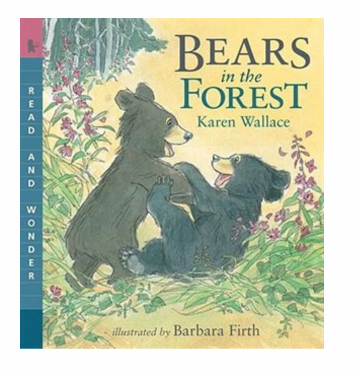 Bears in the Forest Book