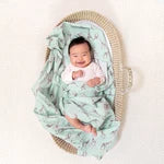 Load image into Gallery viewer, Aden + Anais Snuggle Knit Swaddle Blanket in Grey Blue Giraffe
